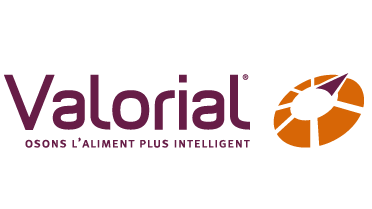 logo valorial